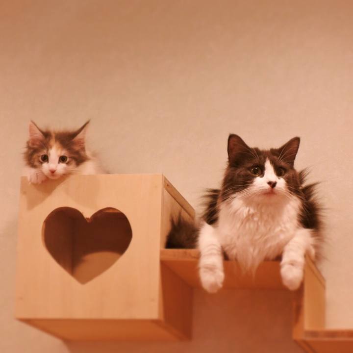 6bbeffc7 942d 4a9f b6aa bbff72eb45c1 1515925989393