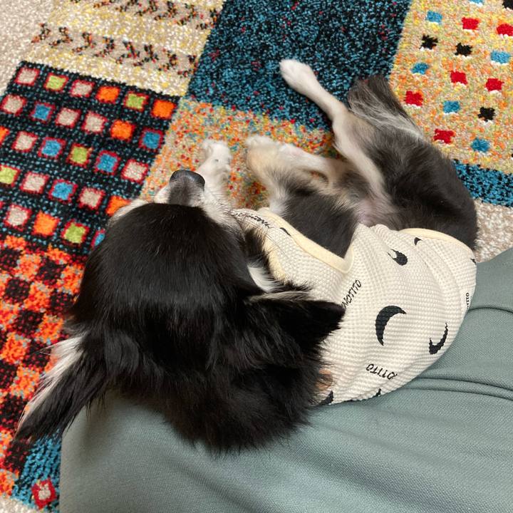 6bbf3e68 0d4a 4e7f 90e7 2efb51db621c 1684077436084