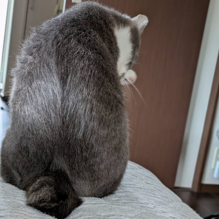 6bbf58c4 7a7d 455d 85f7 a3f78615ec37 1731640223002