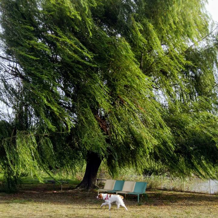 6bbf9538 0800 49d7 8fbb 211f5a11f754 1535023495637