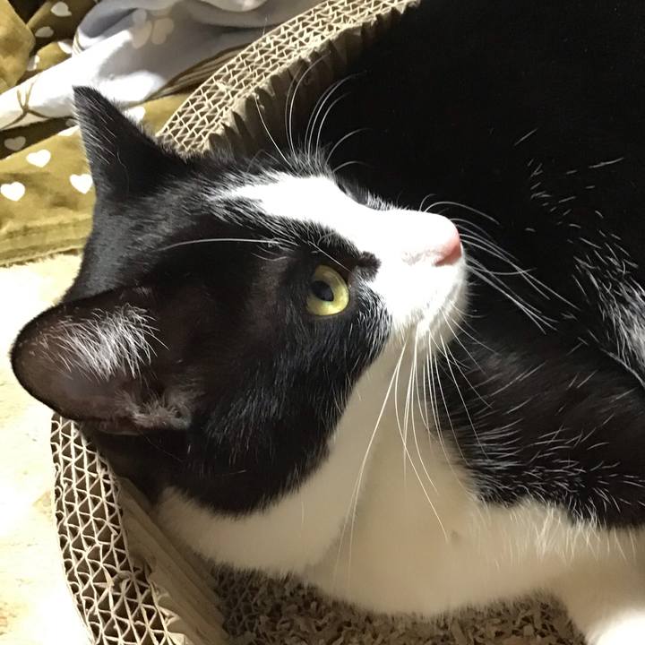 6bbfe332 8f73 48f0 835e ee3880b45db4 1700308518627