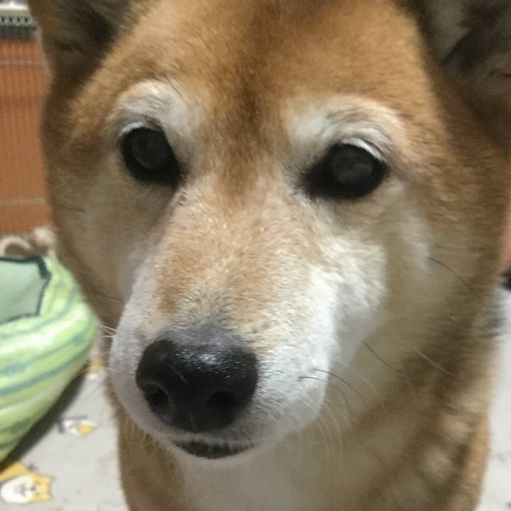 6bbff973 d869 4d99 84c3 e28a30ee3861 1610195135753