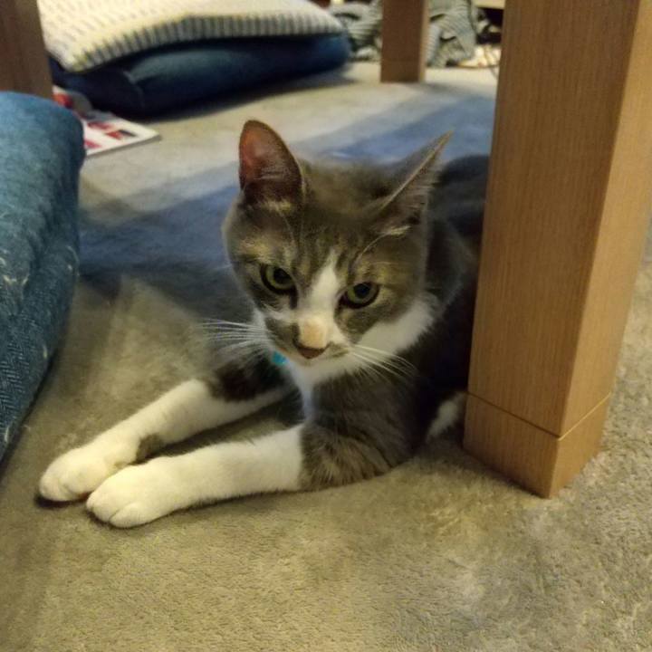 6bc00f94 d7f9 4eeb 8e86 cee4b3cf0599 1621288191614