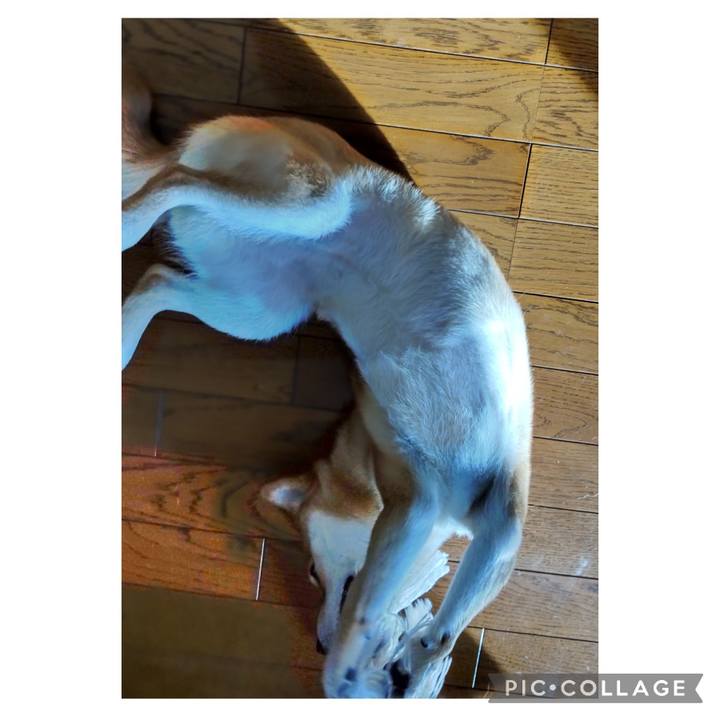 6bc033ee 6f72 4edd b92a 65317a22e1ee 1707263890647