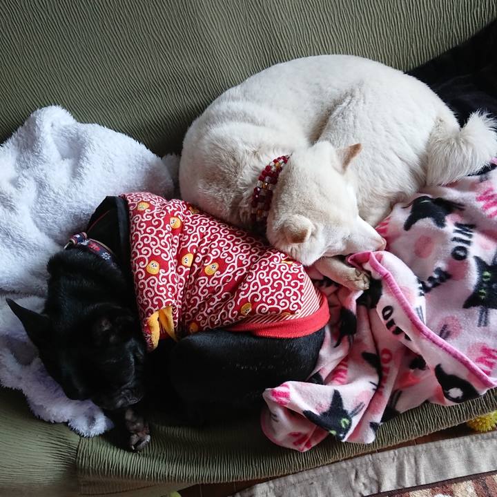 6bc0660d 36b5 49d5 ba7a 7c468e89b240 1581034527734