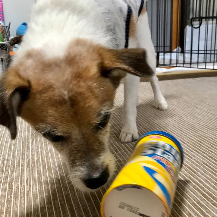 6bc07c14 cc81 40f3 b70d 2a95b19ba361 1601274359136