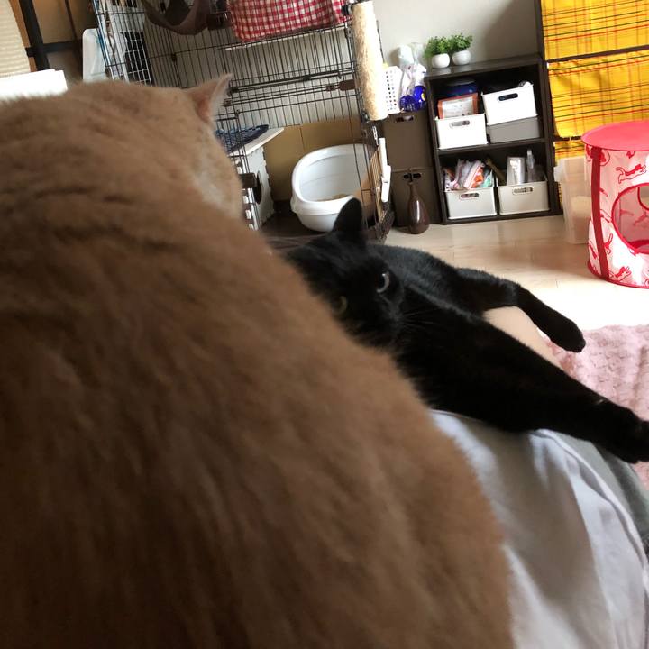 6bc0c168 82eb 4480 92e2 76adbafc8178 1534066892321