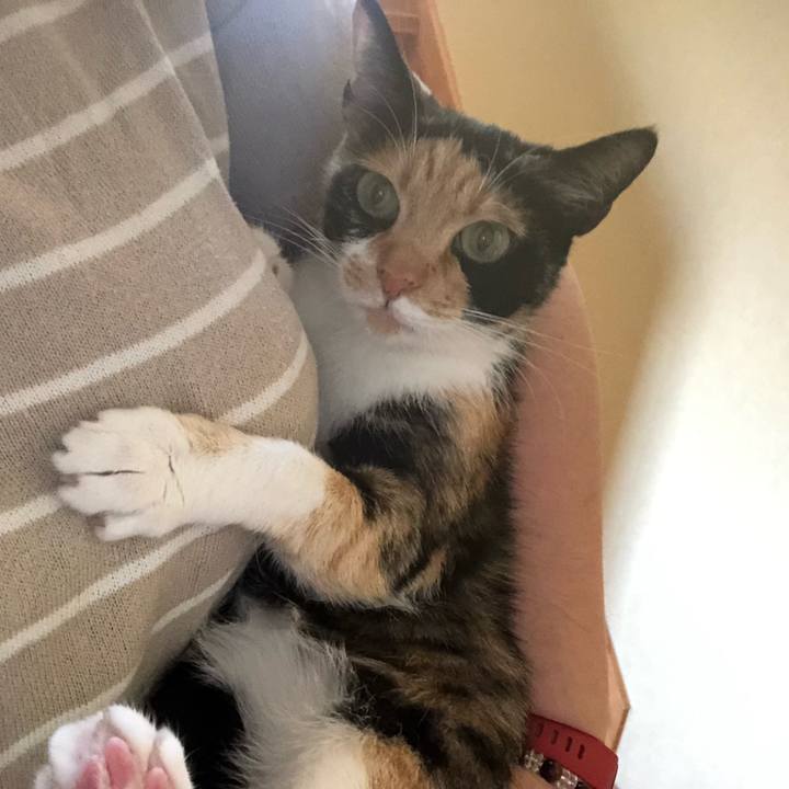 6bc1156d 1f98 4f29 a7c8 a5bb026eeba5 1557631284397