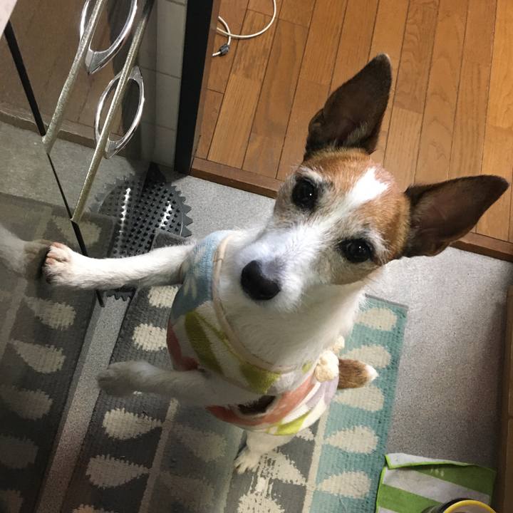 6bc12e3e 5928 4aae 87ca 7111d3cd776e 1612658116832