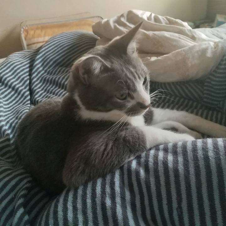 6bc19319 5e9b 42f7 9ed2 67f7d5a33bbf 1619127493456