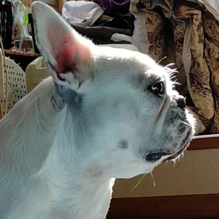 6bc1a266 1521 40b8 abf4 ed93ad0f7943 1668486055185