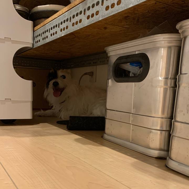 6bc1d2a5 ba57 4f45 b984 bccc08607946 1570882798506