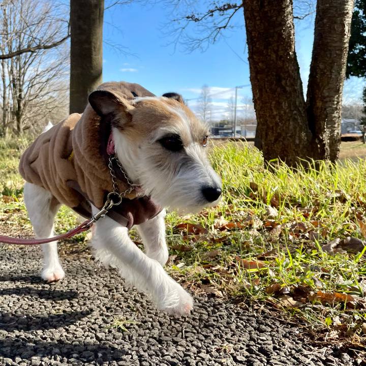 6bc1ef56 6b7a 4a02 b9b2 233d0556a55f 1676356209646