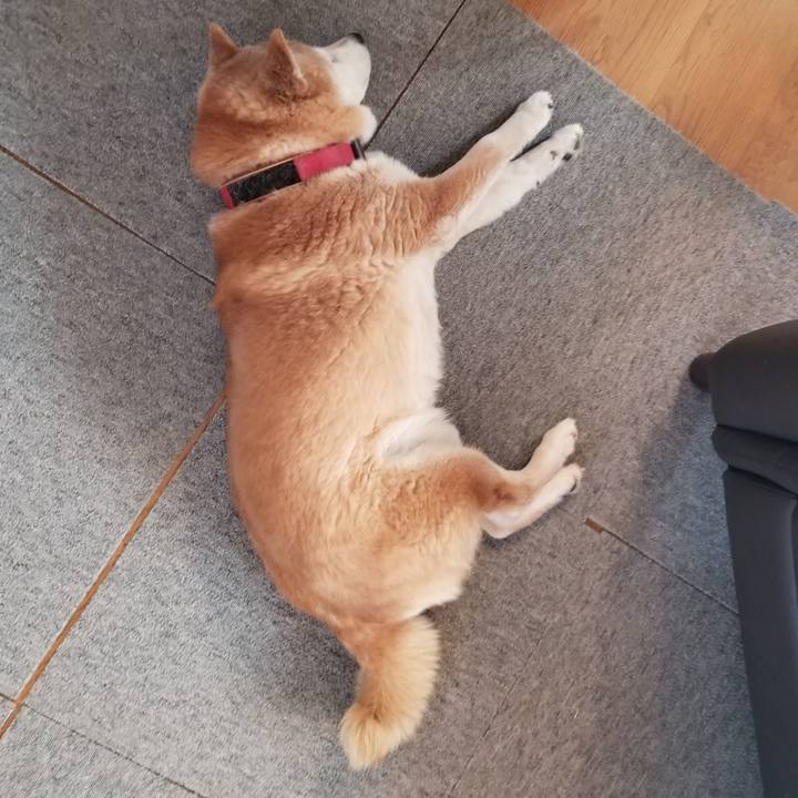 6bc1f65f 99e1 4ec6 af35 f8af4179ce1f 1740096467306