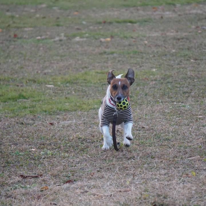 6bc1f6ef f72b 4fef 9a2c 253b9aa009d0 1512945888699