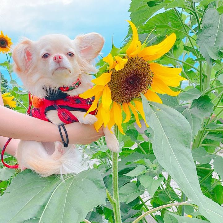 6bc22c83 65a9 4814 b9ad b63b990bd003 1625049048108