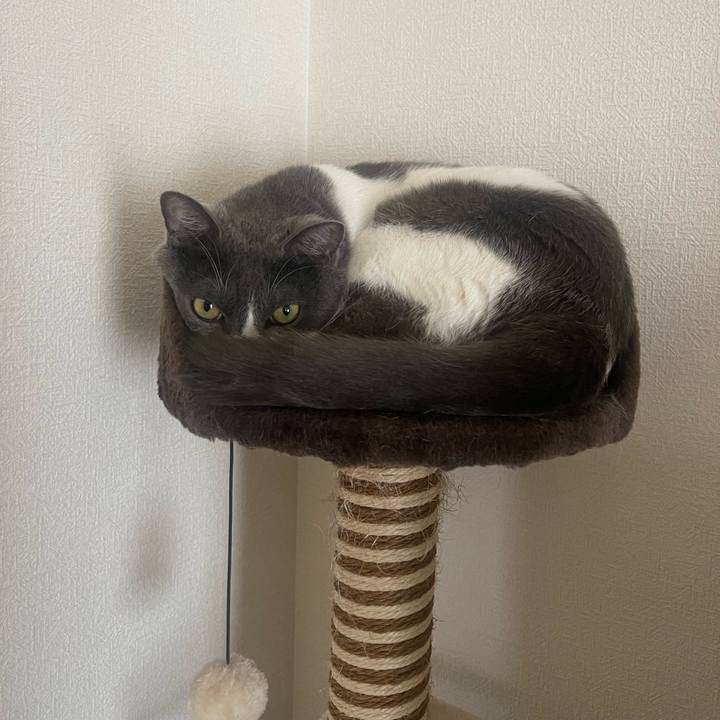 6bc24105 0be4 4d45 90d7 c91f67274009 1691899793279