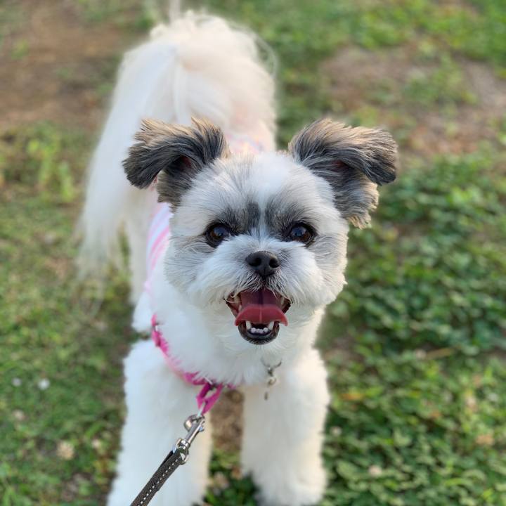 6bc24e0b 8971 4af5 a5f9 663445cb0fdb 1568194198693