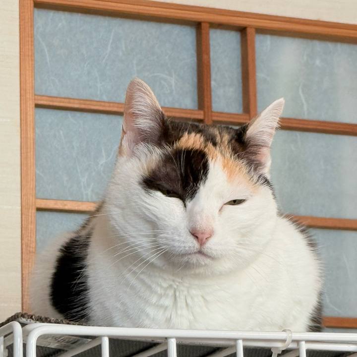 6bc29cb2 6e1b 46ce 912d 8149d832a1c1 1775785129745