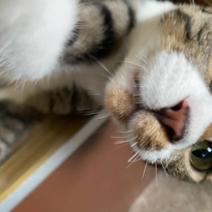 6bc2c3be 583e 4db8 9022 4ef45f47b0d4 1659433351564