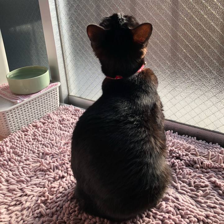 6bc30108 d612 47cf 9330 0d12c4dd05ac 1616366272531