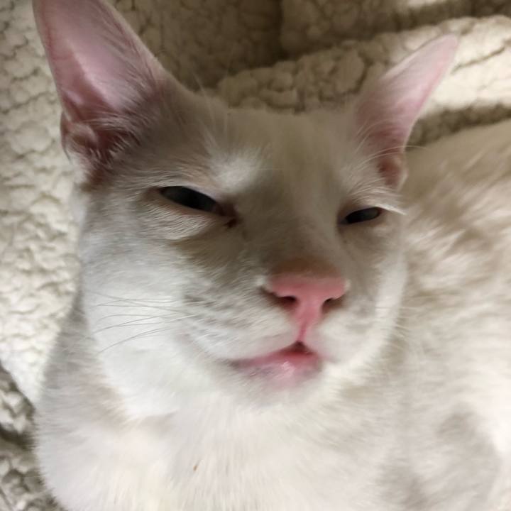 6bc315a3 f7a3 4f47 8fde 7d96e7e42606 1546955314446