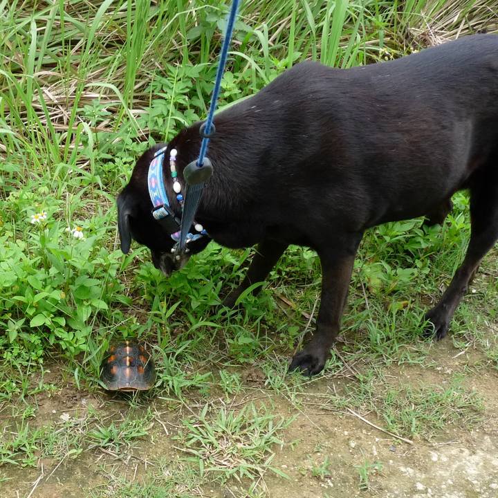 6bc326bc b49b 4865 8080 bcf711c5113d 1554981394292