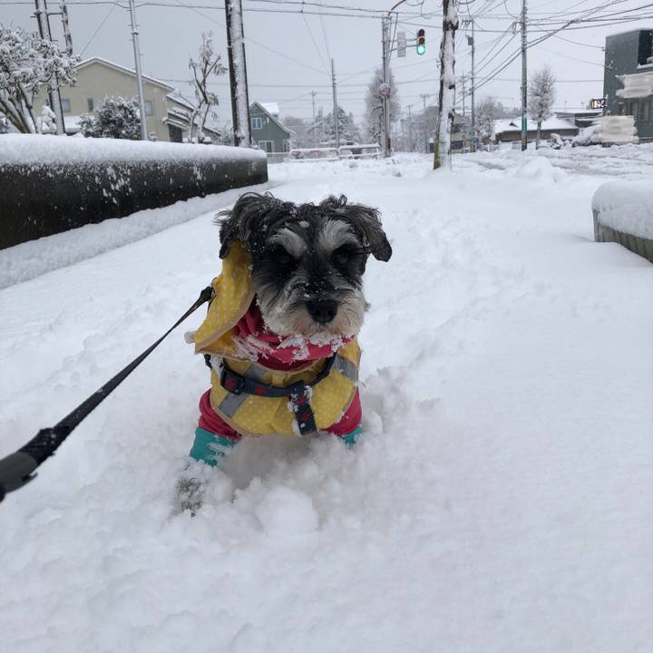 6bc33a71 20e4 4246 b2d2 0a5f10a9b3ca 1640914602465