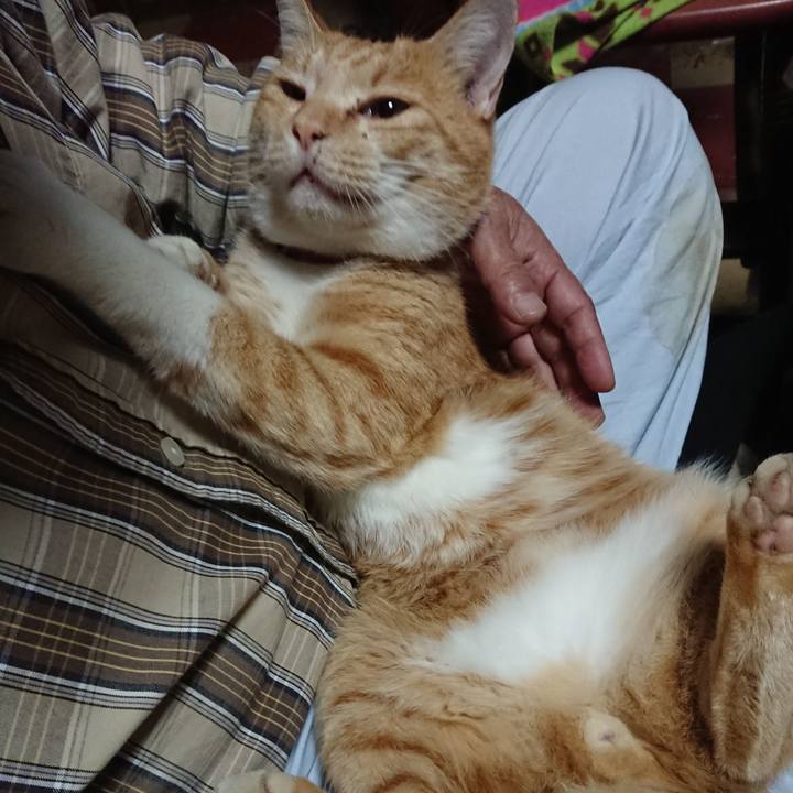 6bc351ba a9c7 461d ba0e 79f122f0acdd 1571709711769