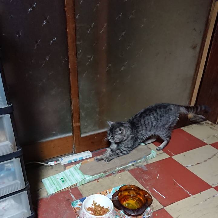 6bc3651a 8de7 482c a811 d6bb4a940bb2 1580414400914