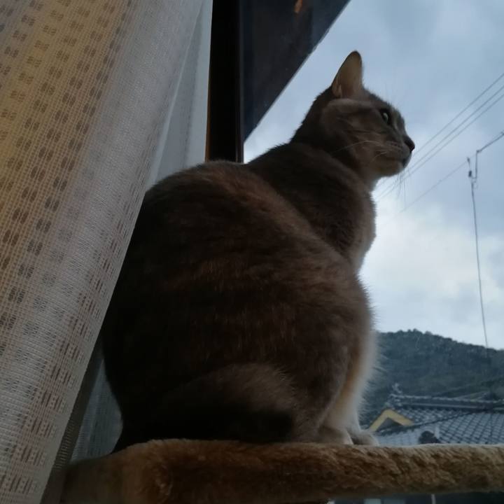 6bc365c2 a7f2 45b4 a6b4 d6625fd2c54e 1550791264474