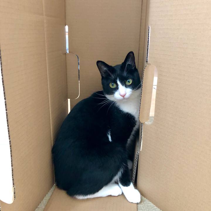 6bc3825d c650 4f7a b3ef 73fb7219d74a 1536755197294