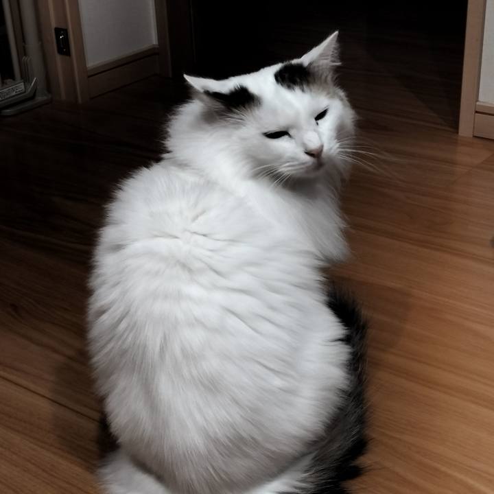 6bc3b88d 5ba8 4eb8 9c6a 0d048bd8d349 1764482525662