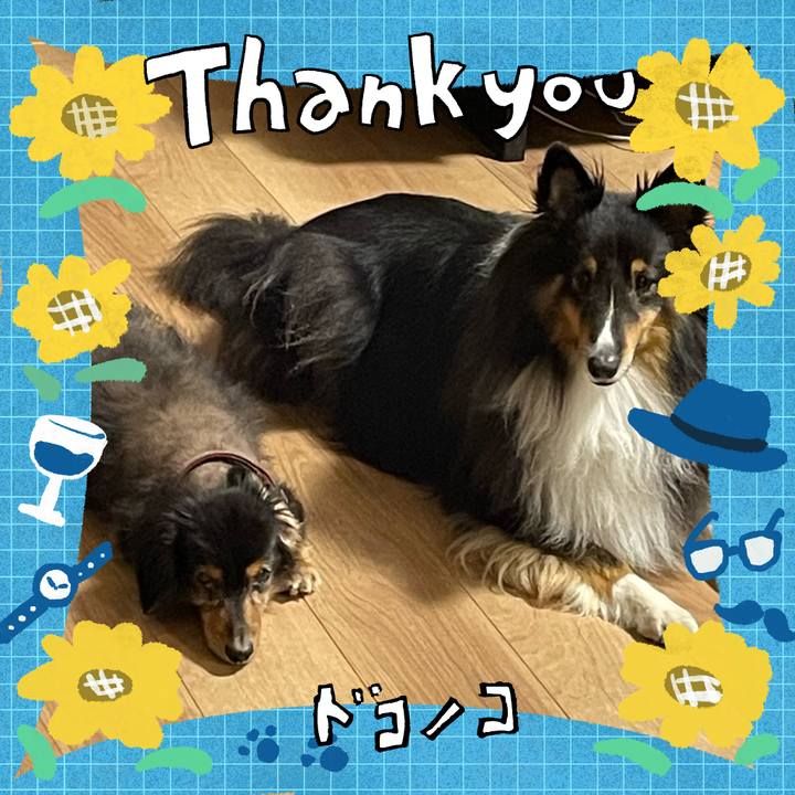 6bc3d40d 6c62 4059 ae99 b35073d7cd44 1717561675102