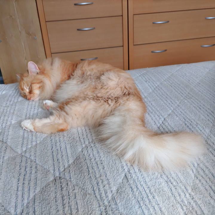 6bc3e938 b19f 4062 8ea6 887e7a48df78 1718856625258