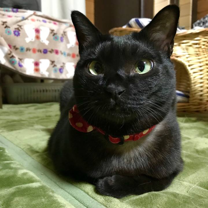 6bc3f93a 49da 40c3 88ee e6f5f211202d 1518012530064