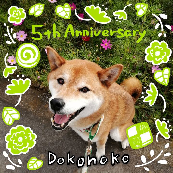 6bc4128c cc8b 456d b3fd 6aca25a8d21f 1622899922539