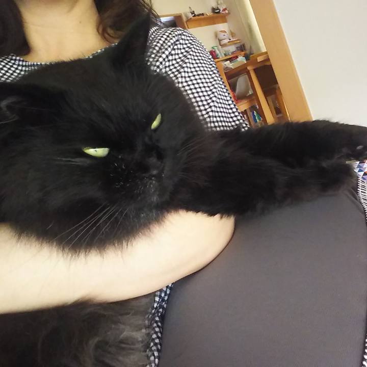 6bc41d9f 3de5 4158 b7ee 70a0f024ef98 1559629418777