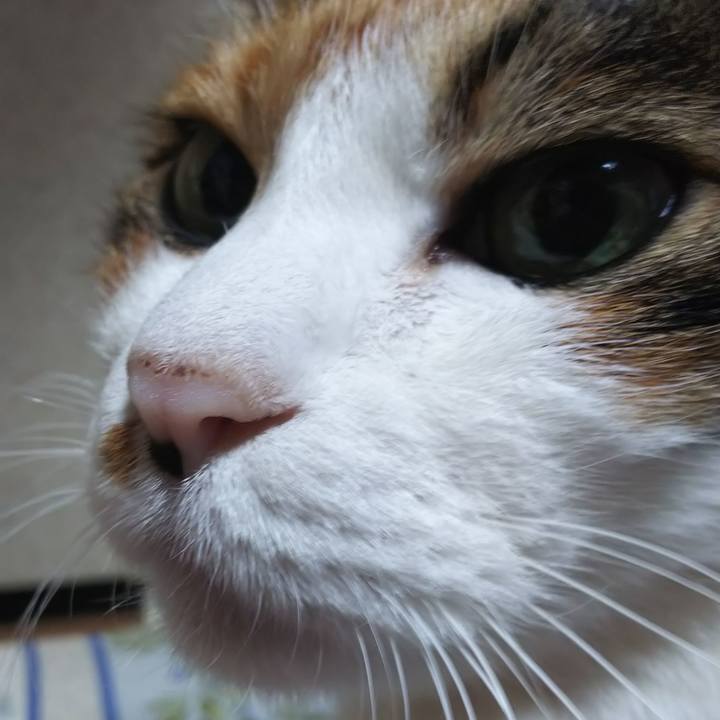 6bc430df 30f0 4763 b1ea 93d6583c0d78 1570658138507