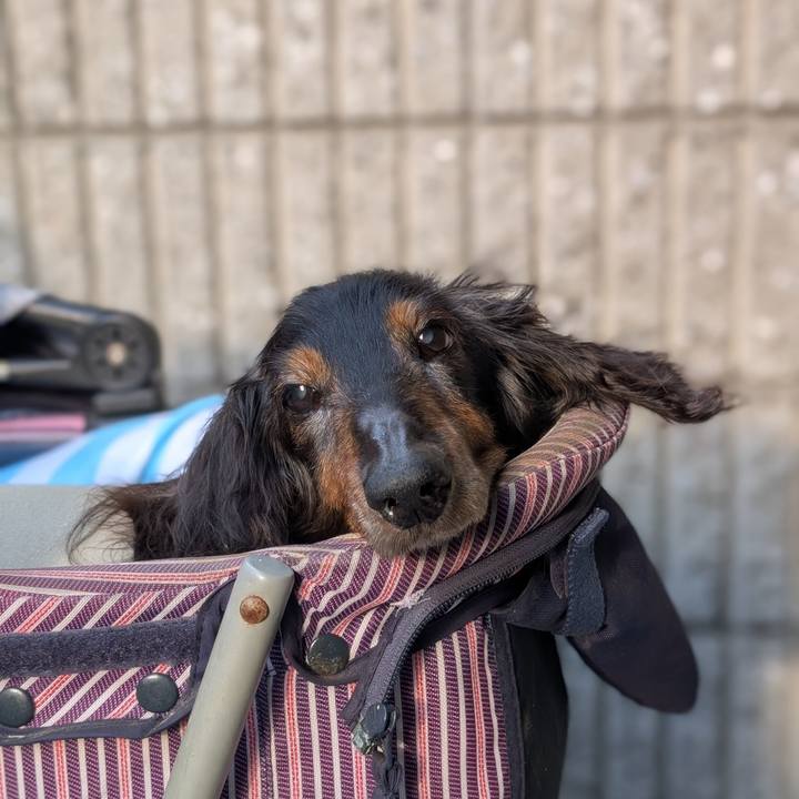 6bc4475a 8bbc 49fe a25e a8d3acdb0d11 1764139294622