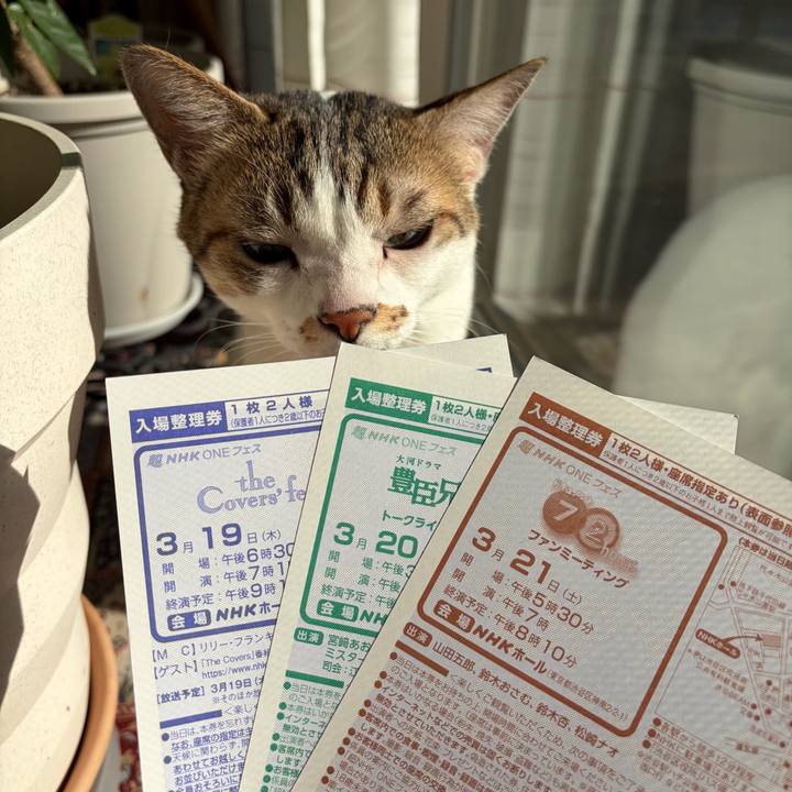 6bc45b39 cca5 48c4 87fa b5b2be4108b3 1773037074540