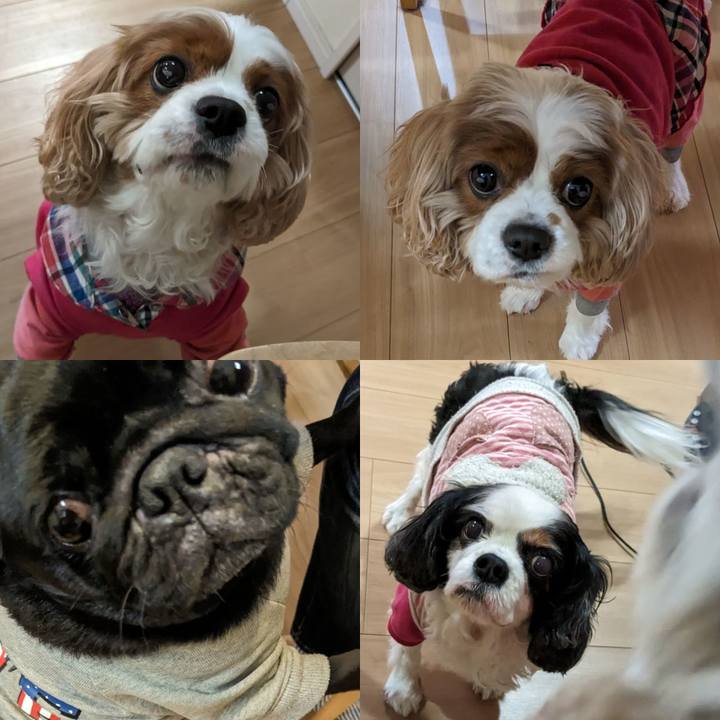 6bc45f86 5d76 4d4e 8433 7731761448be 1704101111310