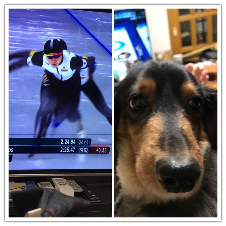 6bc46672 0f4a 4821 98dc b50f94f37cc7 1519218207315