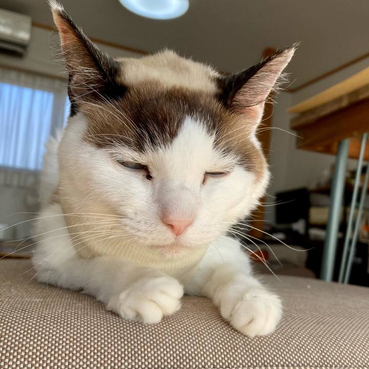 6bc4adba 5fcc 4a56 bdb7 e66a56418344 1677469274953