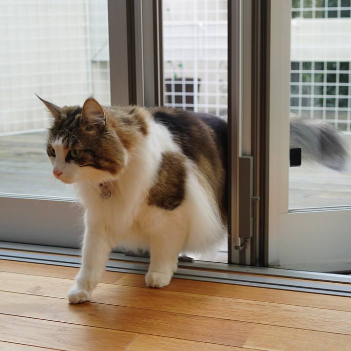 6bc4bf34 d6f4 42c9 a618 4e1cf8d13199 1669966602446