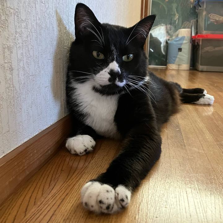 6bc4c164 96f3 4065 baa4 30a38e1c7a9a 1724038636471