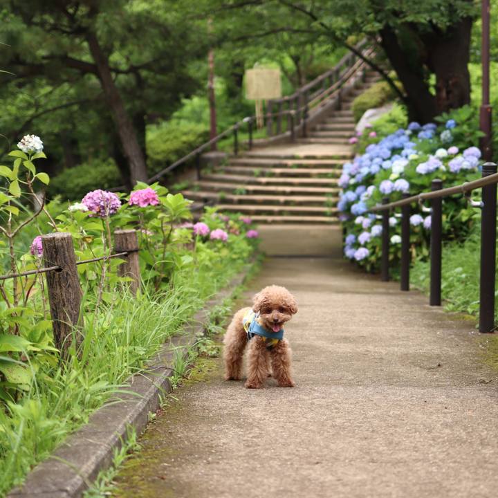 6bc4c84d ab96 4d8e a731 9d327d182b5b 1604485323539