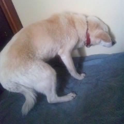 6bc4d512 c99d 497c b0ea 84c8169c17ba 1537444549981