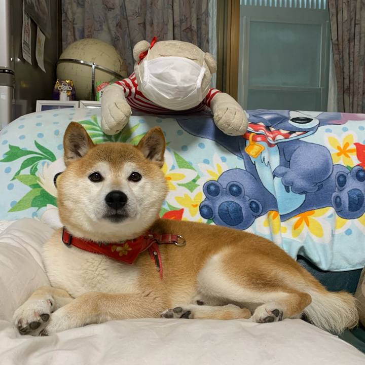 6bc4ffe4 2e87 474e b3dd 62f445117b03 1625740809888