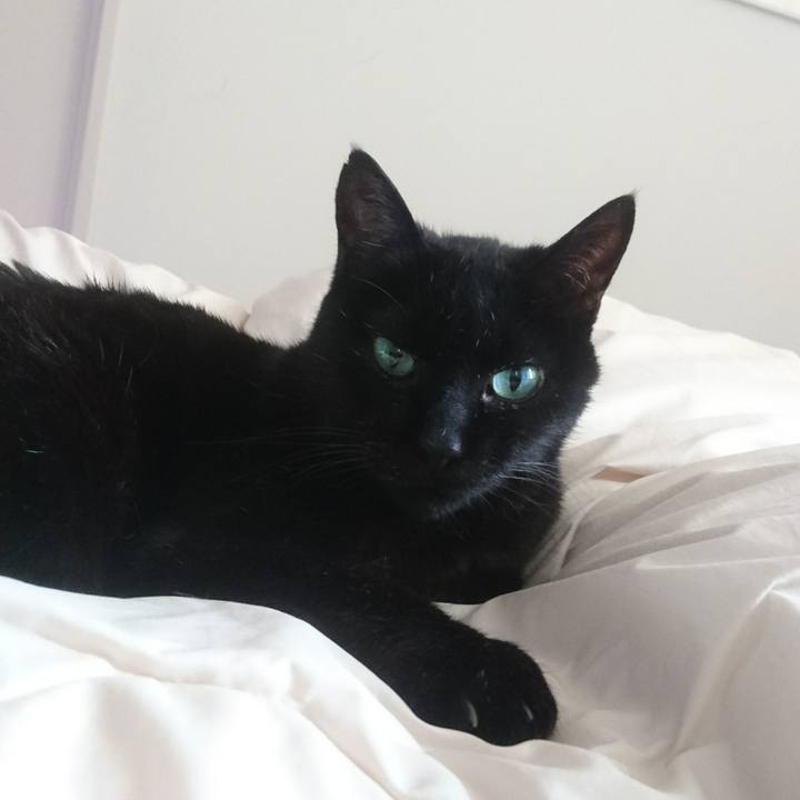 6bc50010 9452 4e1e 8ed8 cd7bb7ec36d2 1525774606544